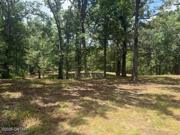 0 McBride Cemetery Rd, Sardis, TN 38371