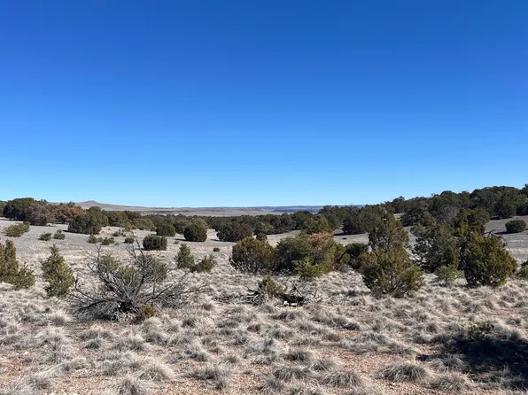 Cimarron Dr, Quemado, NM 87829