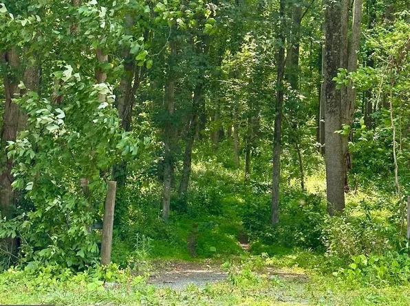 Hoover Rd, Reva, VA 22735