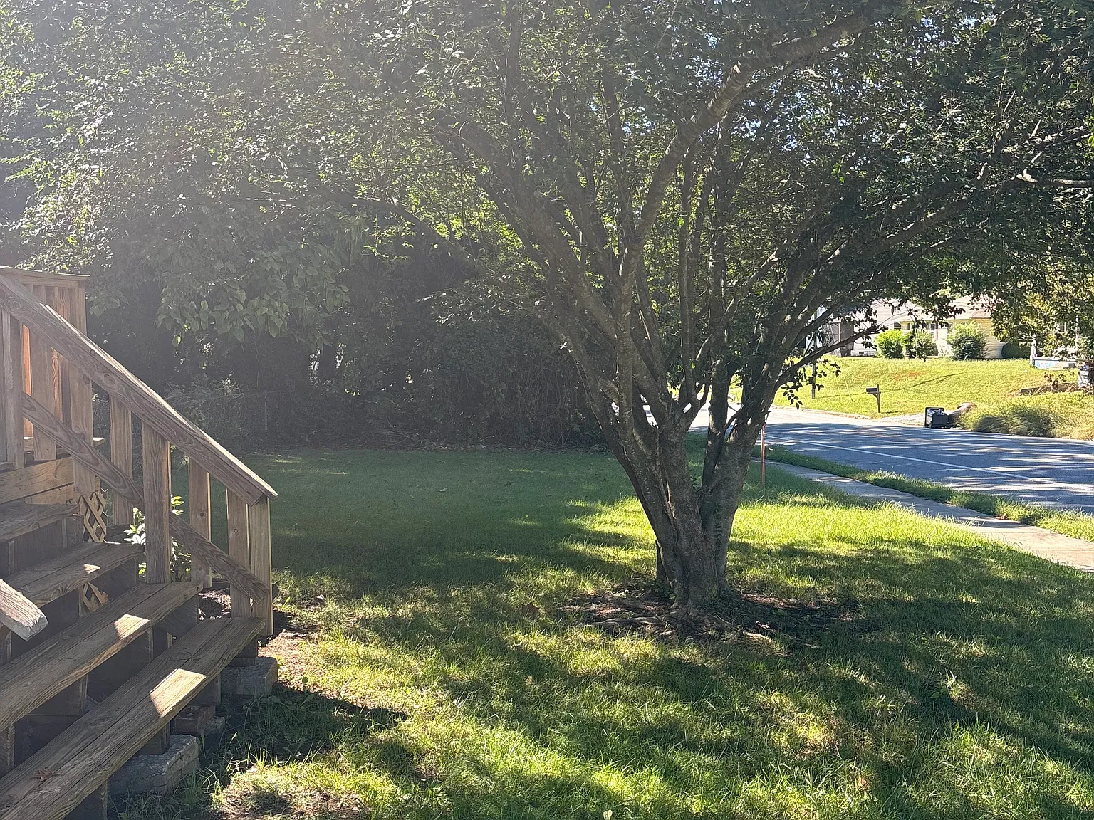 2 bed, 1132 sqft, $1,500 — Photo 4