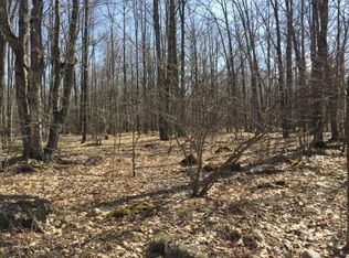 Van Alstine Rd, White Lake, WI 54491