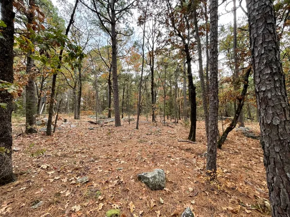 Horsehead Mountain Rd Unit 156, Moyers, OK 74557