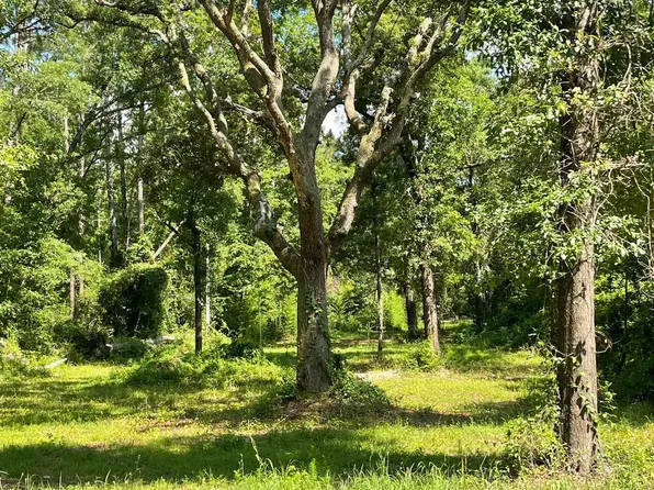 13150 Woodhaven Dairy Rd, Silverhill, AL 36576