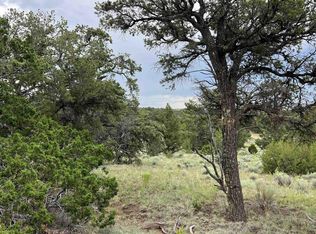 Elk Pass Loop, Pie Town, NM 87827