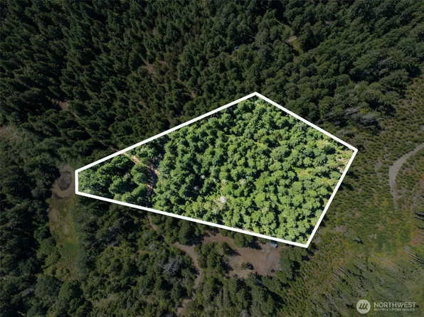 2461 W Hanks Lake Road, Shelton, WA 98584