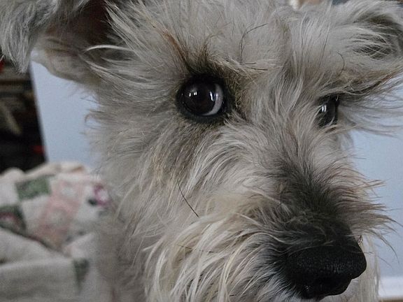 5th image of 35 Collins Landing Road #32