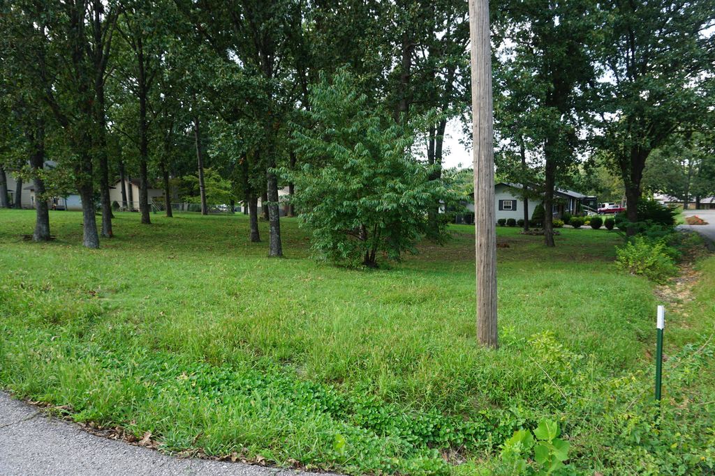 000 Joann Drive, West Plains, MO - View 5