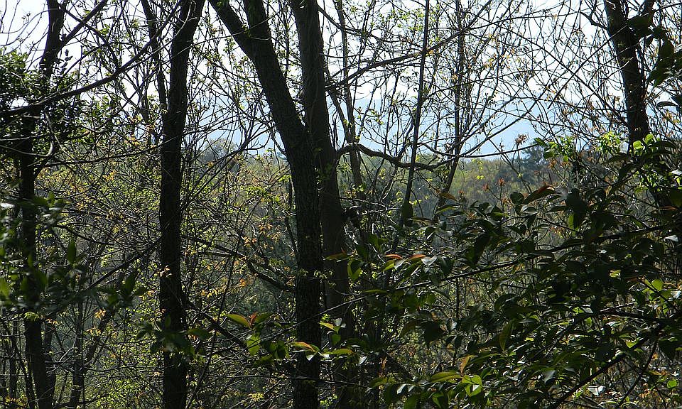 A bike ride to the river