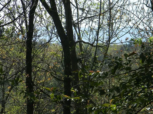 0 Asheville, Asheville, NC 28804