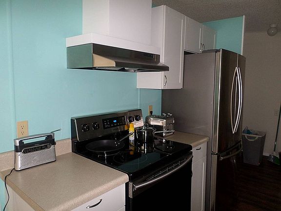 3rd image of 173 Palmetto Dr