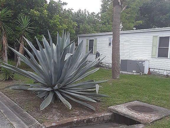 3rd image of 426 Egret Cir