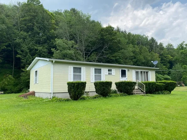 237 & 217 County Highway 20, Deposit, NY 13754