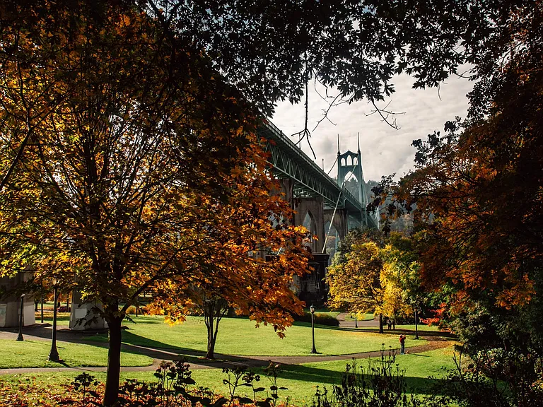 Cathedral Park