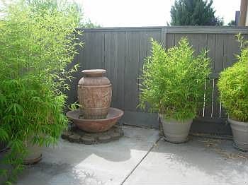 2nd image of 2572 Parkwood Village Ln