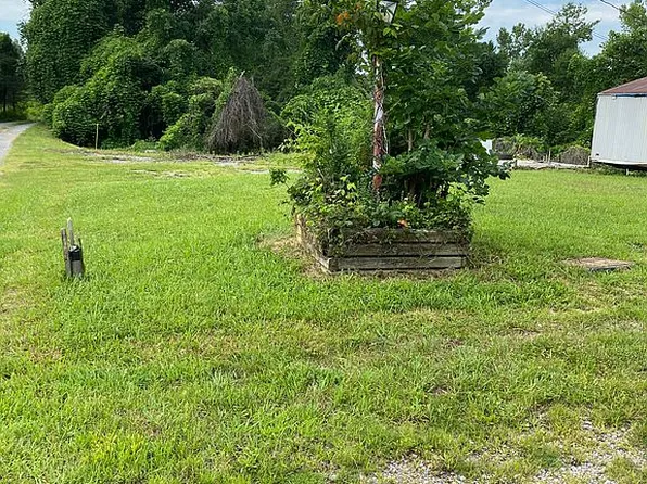 160 Bolton Dr, Spring City, TN 37381