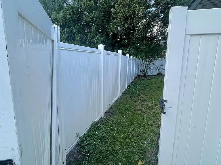Fenced back yard