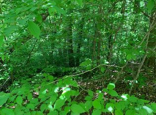 Chatuge Village Cir, Hayesville, NC 28904