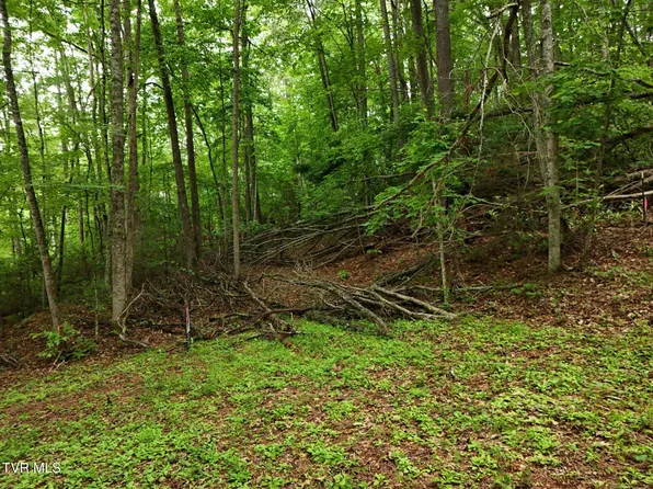 Willow Ln, Greeneville, TN 37743