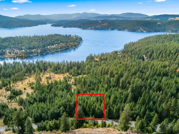 6983 S Buckrail Rd, Harrison, ID 83833