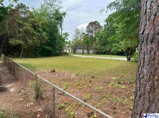 213 E Ave, Darlington, SC 29532