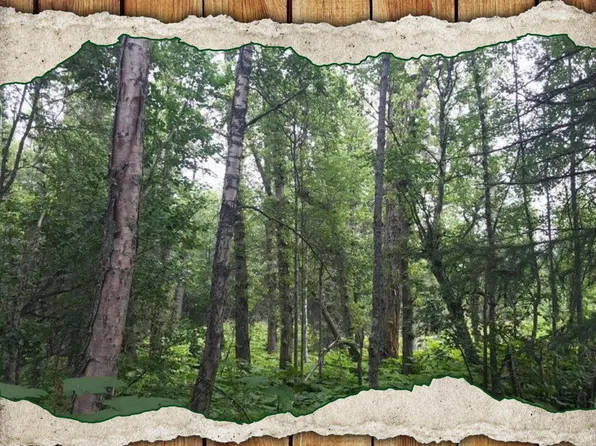 L6-B2 Agate St, Kenai, AK 99611