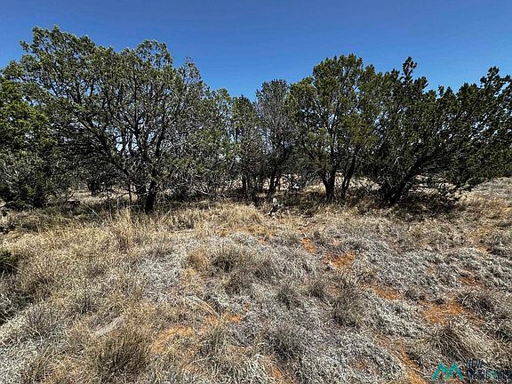 2nd image of 48 Turkey Canyon Rd