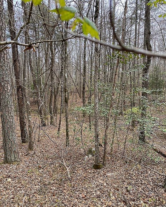2nd image of Savage Highland Dr