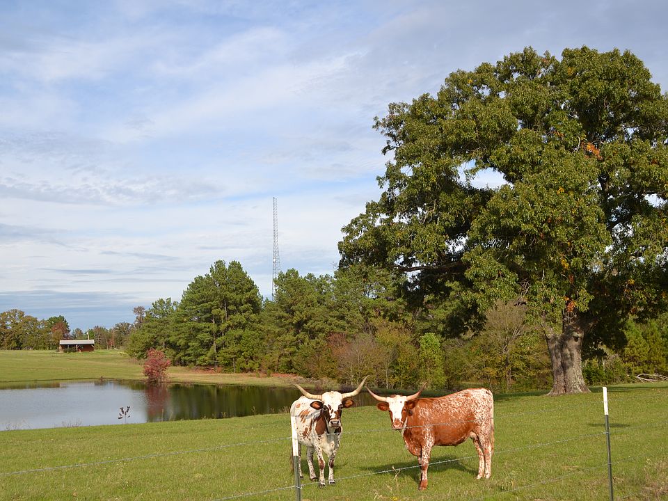 1st image of 4818 Fm 2207-fm #1252
