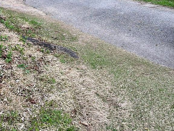 5th image of 93 Right Fork Bolen Br