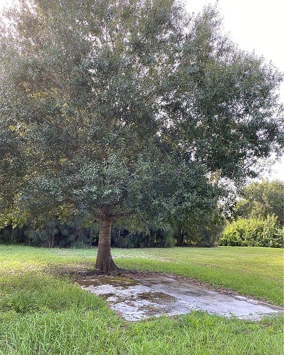 1st image of 8324 Suncoast Dr