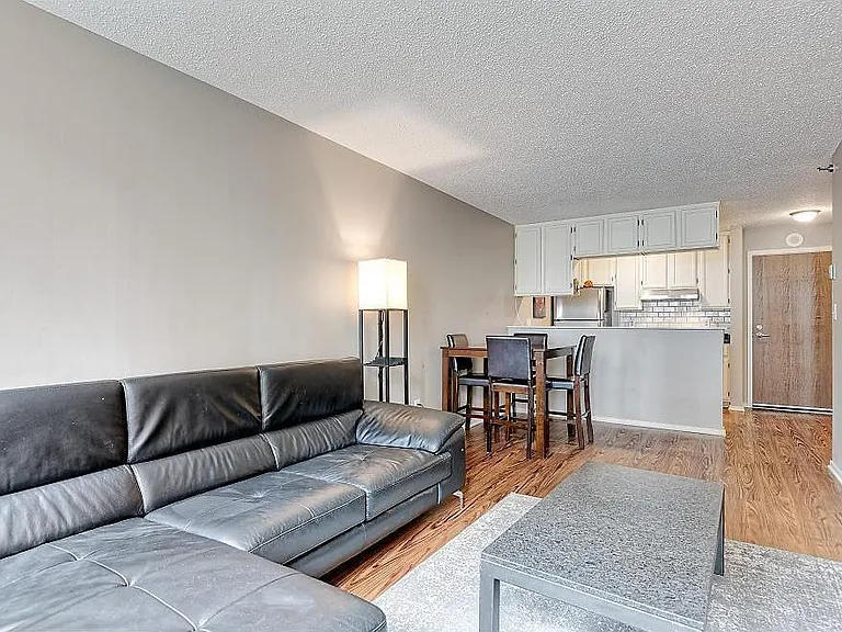 433 S 7th St #1607 — Photo 6