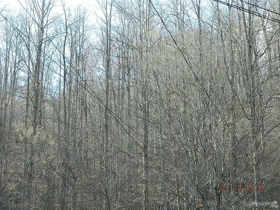 IV