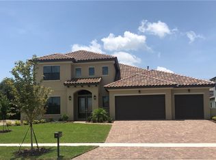 14903 Tavares Mill Ave, Lithia, FL 33547