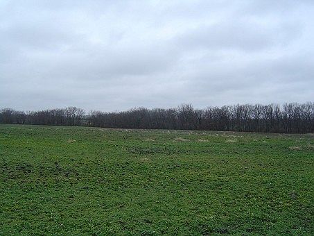 3rd image of SE Honeysuckle Dr