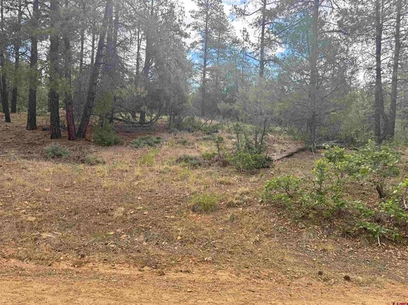 1259 Westview Road, Pagosa Springs, CO 81147