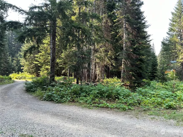 18 Alaska Mountain Way, Snoqualmie Pass, WA 98068