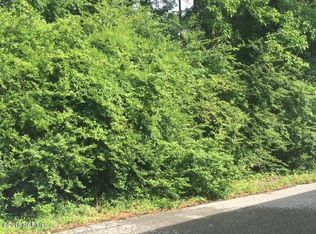 5 Hewitt Rd, Richlands, NC 28574