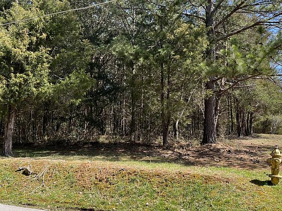 3rd image of 35 Loch Haven Rd Lot 35