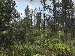 Road 1, Mountain View, HI 96771