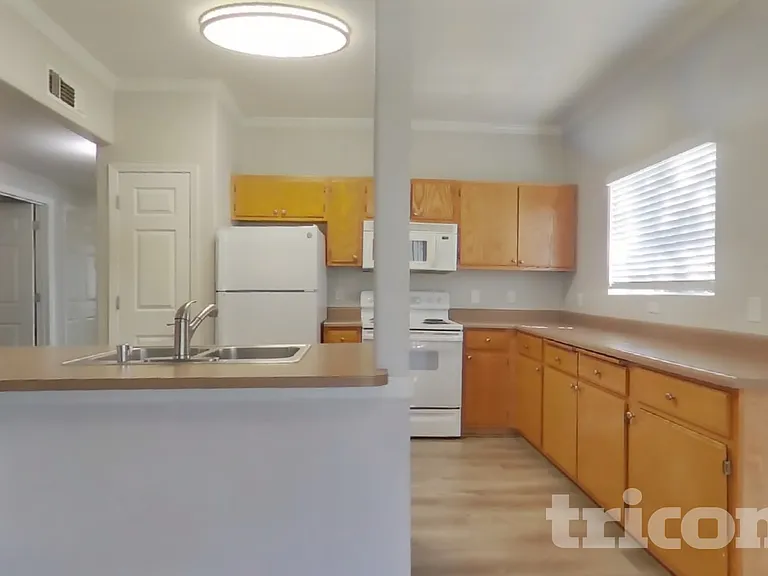 10001 Woodcreek Oaks Blvd #217 — Photo 7