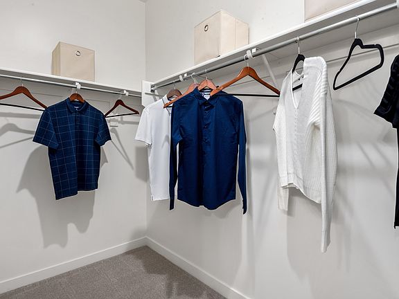 Owner s suite walk-in closet