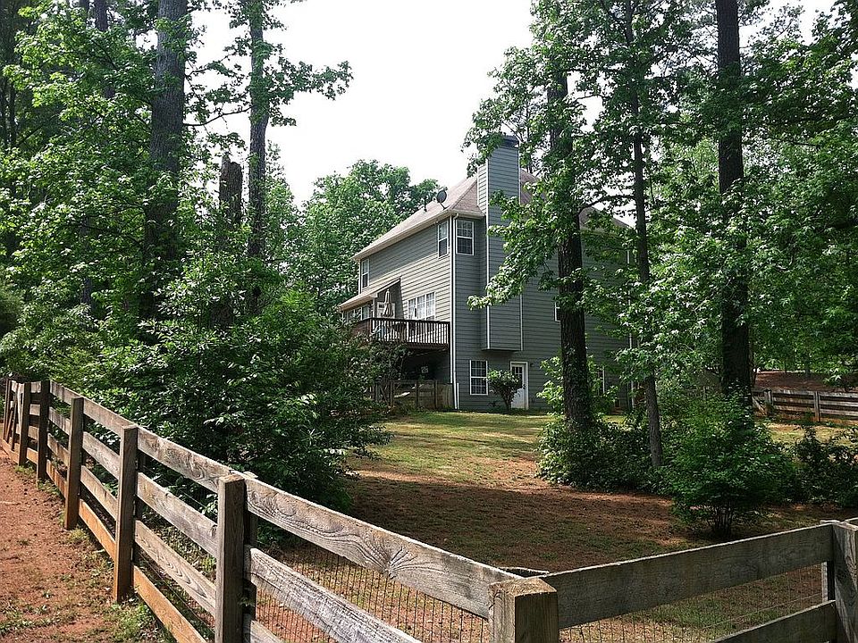 Back View
