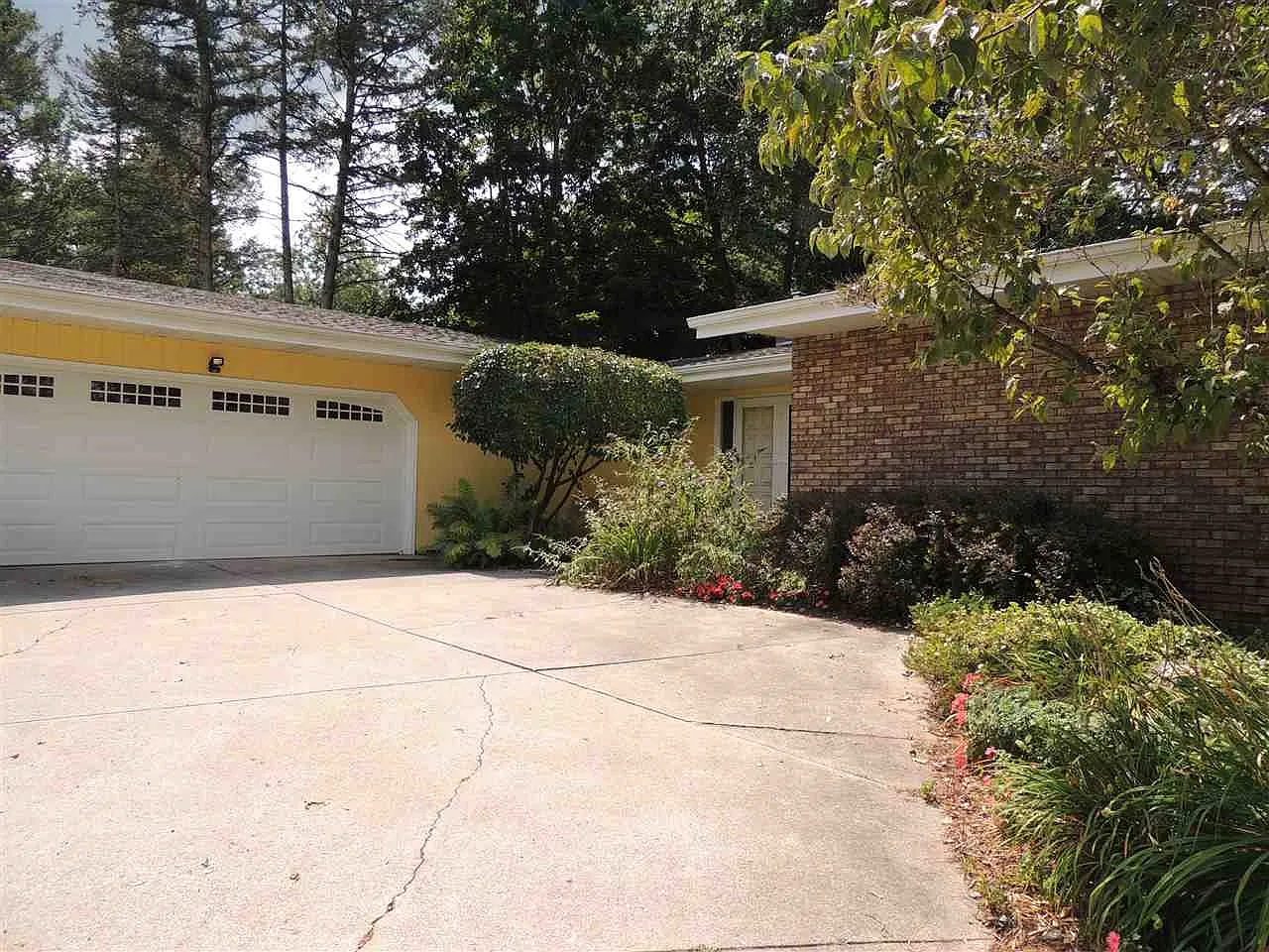 50801 Mockingbird Trl photo 1
