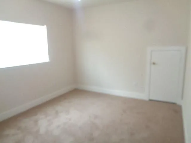 231 Silver Mist Cir — Photo 16