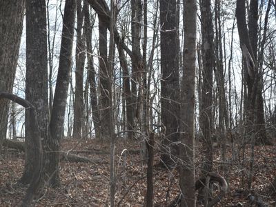 0 Skyline Dr #338, Dunlap, TN, 37327