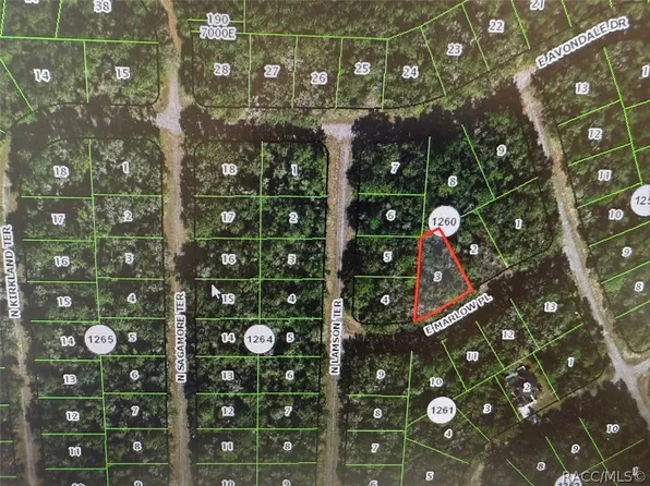 431 E Marlow Pl, Citrus Springs, FL 34434