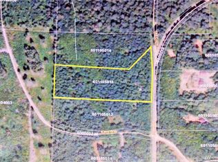 9003 Coyle Rd, Quilcene, WA 98376