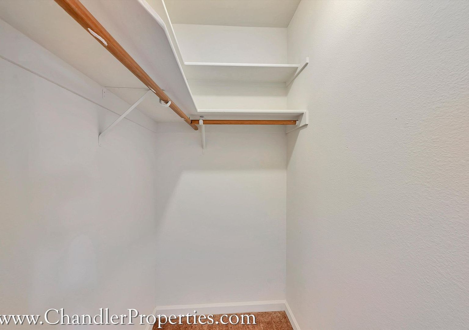 3111 Vicente St APT 205 - Image 4