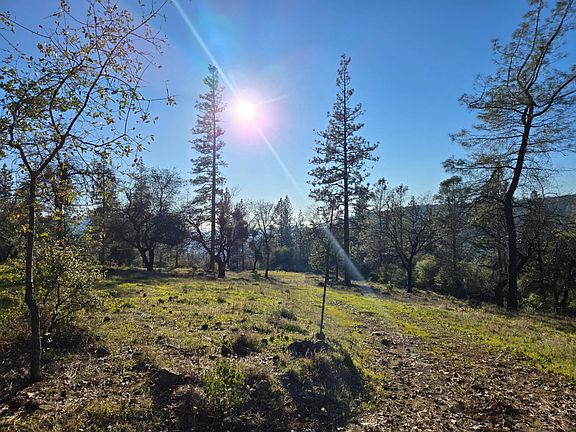 2nd image of Double Eagle Way