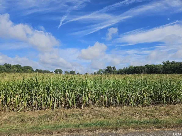 0 N County Line Rd, Ina, IL 62846